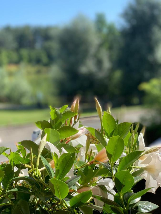 Cameracaffe Sul Lago Arezzo Ngoại thất bức ảnh